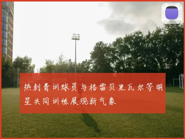 热刺青训球员与格雷贝里瓦尔等明星共同训练展现新气象