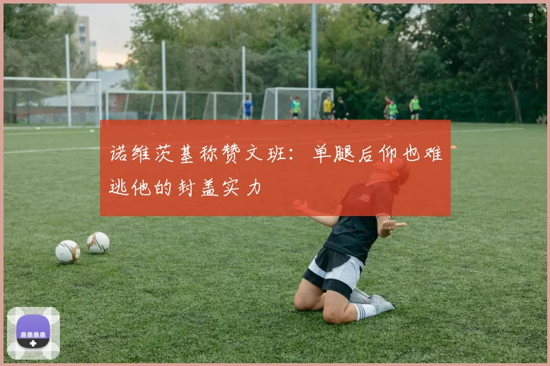 诺维茨基称赞文班：单腿后仰也难逃他的封盖实力