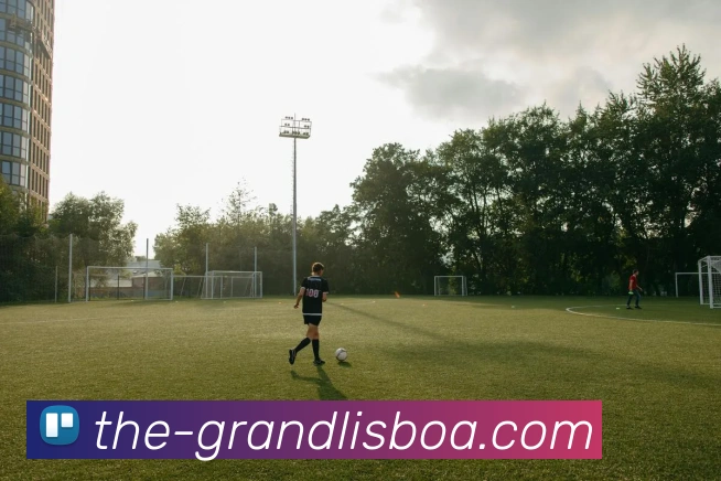 新葡京娱乐平台生态图